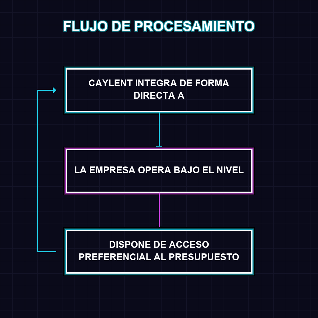 ✦ ✦ FLUJO DE DECISIÓN: RUTAS DE SELECCIÓN Y PROCESAMIENTO EN CAYLENT / ANTHROPIC